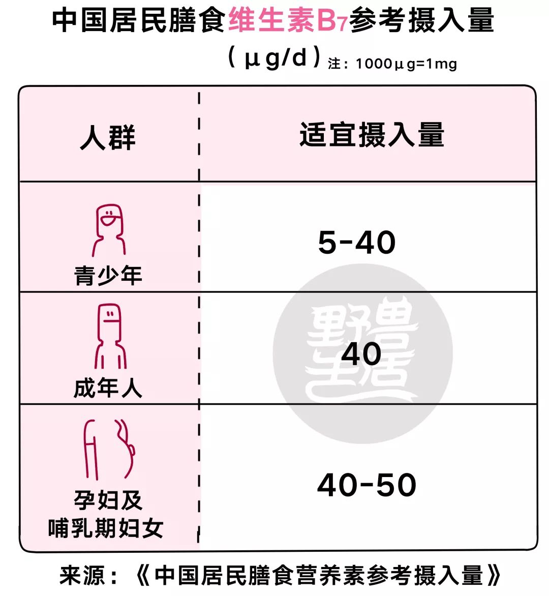 八种维生素B功效及膳食参考摄入量