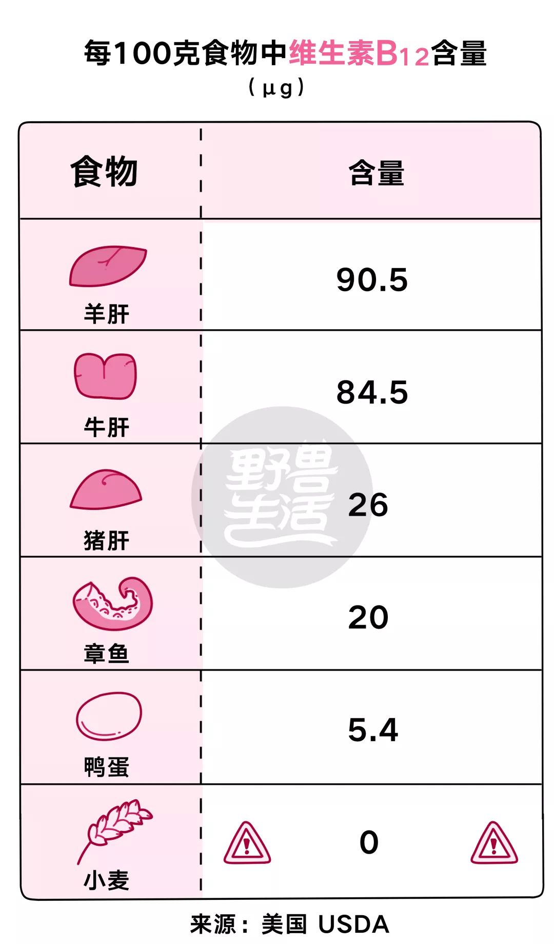 八种维生素B功效及膳食参考摄入量