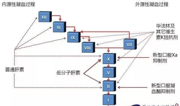 宝宝缺乏维生素K的主要表现