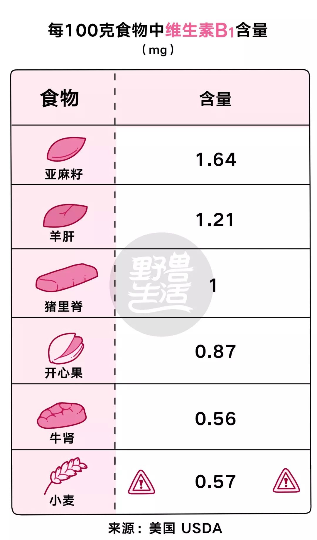 八种维生素B功效及膳食参考摄入量