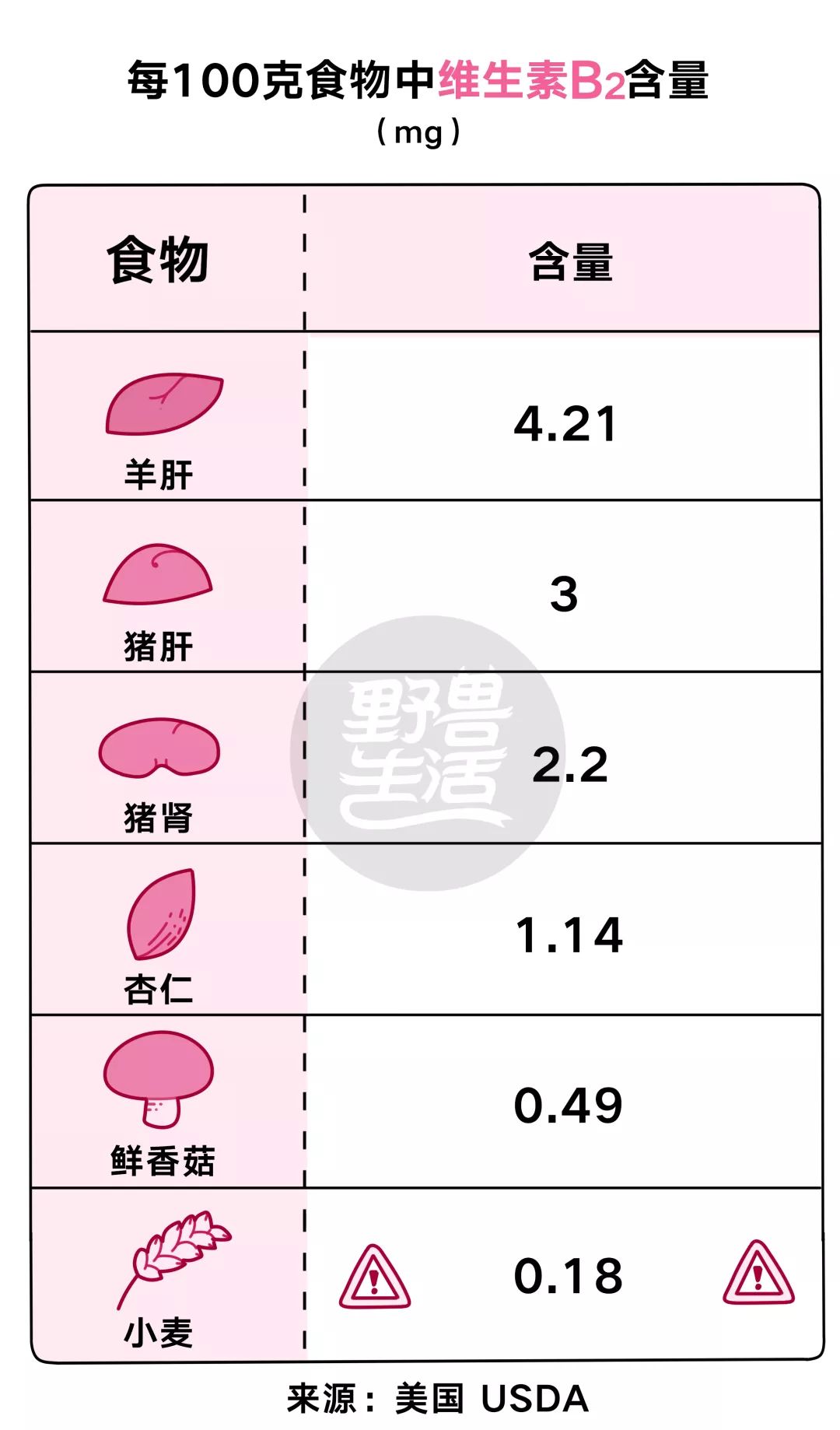 八种维生素B功效及膳食参考摄入量