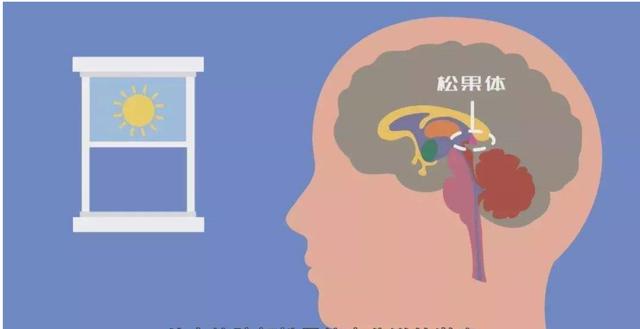 使用褪黑素助眠，要知道这些效果才会更好