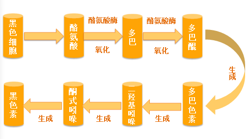 维生素E对女性三个特殊时期的作用